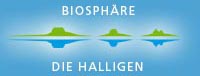 logo halligen